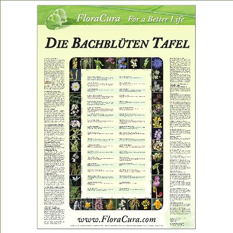 Poster Bachblüten